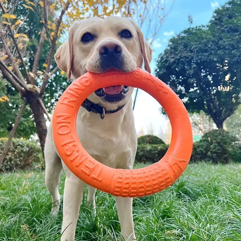 Flying Disk Chewing Toy