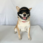 Dog Goggles & Helmet Set