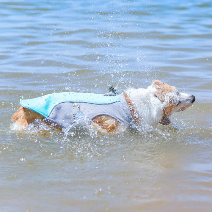 Cooling Reflective Dog Harness