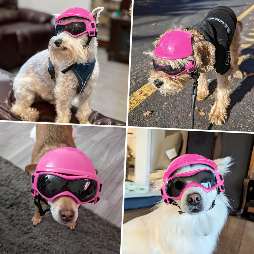 Dog Goggles & Helmet Set