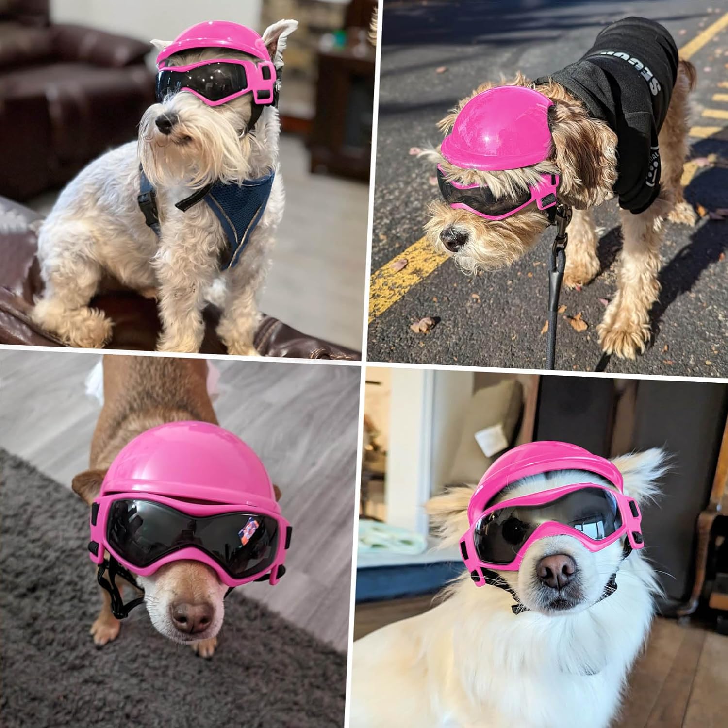 Dog Goggles & Helmet Set