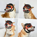 Dog Goggles & Helmet Set