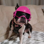 Dog Goggles & Helmet Set
