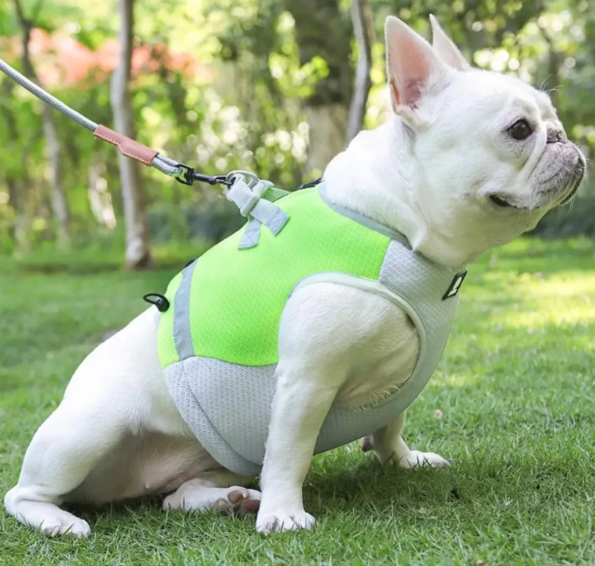 Cooling Reflective Dog Harness