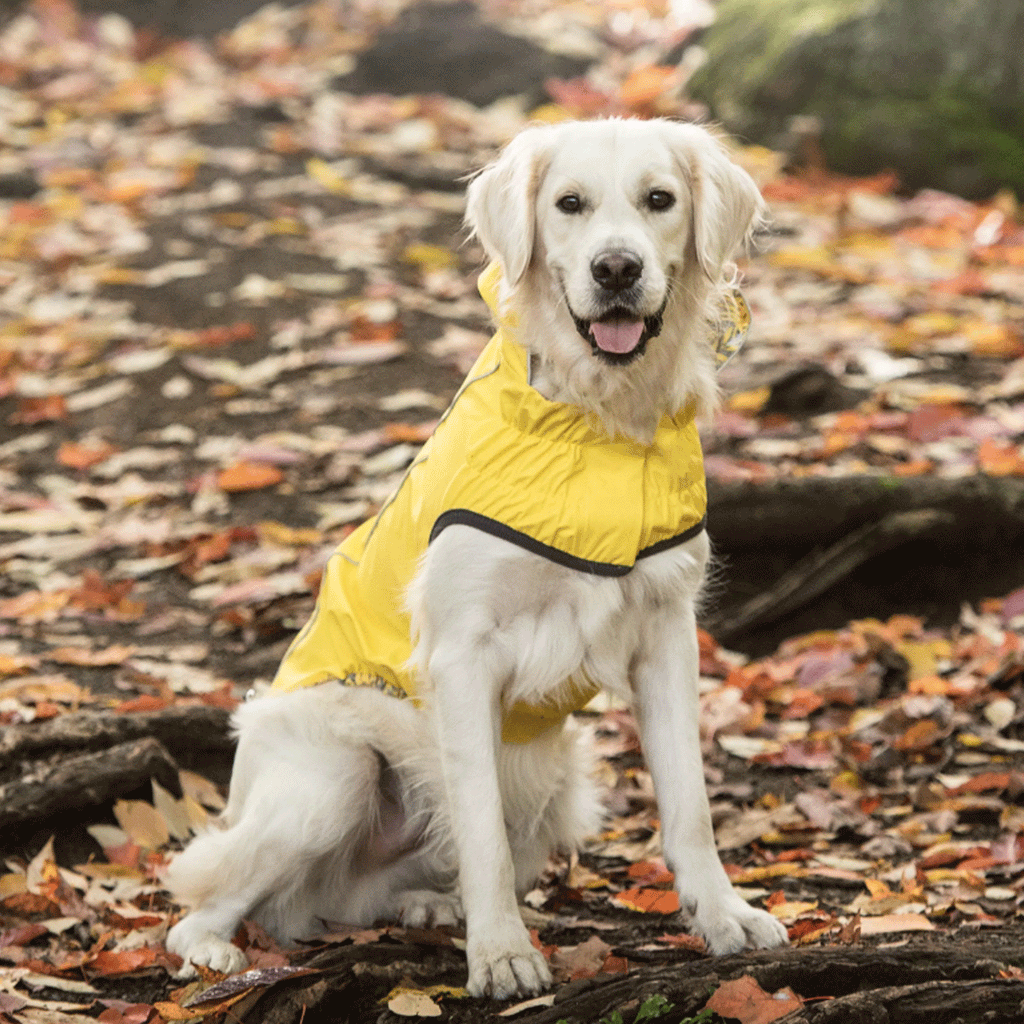 Reflective All-Weather Waterproof Dog Rain Coat