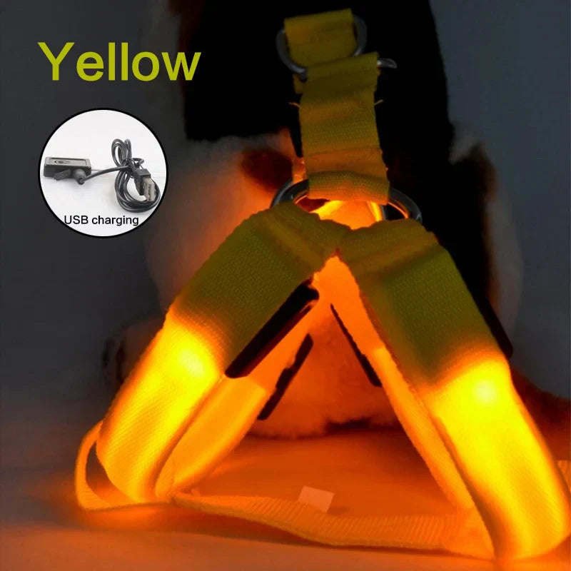 LED Neon Safety Harness