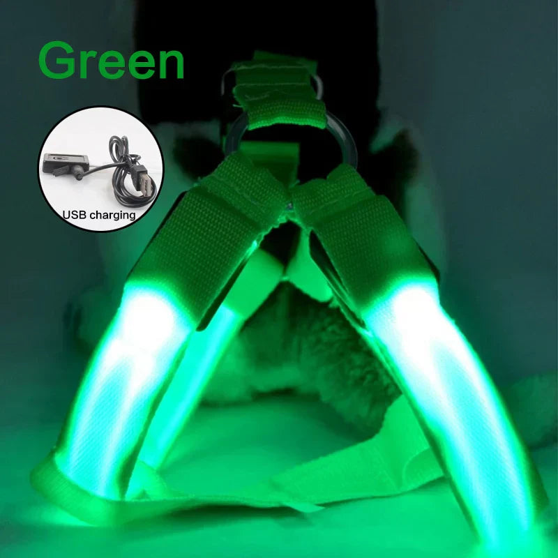 LED Neon Safety Harness