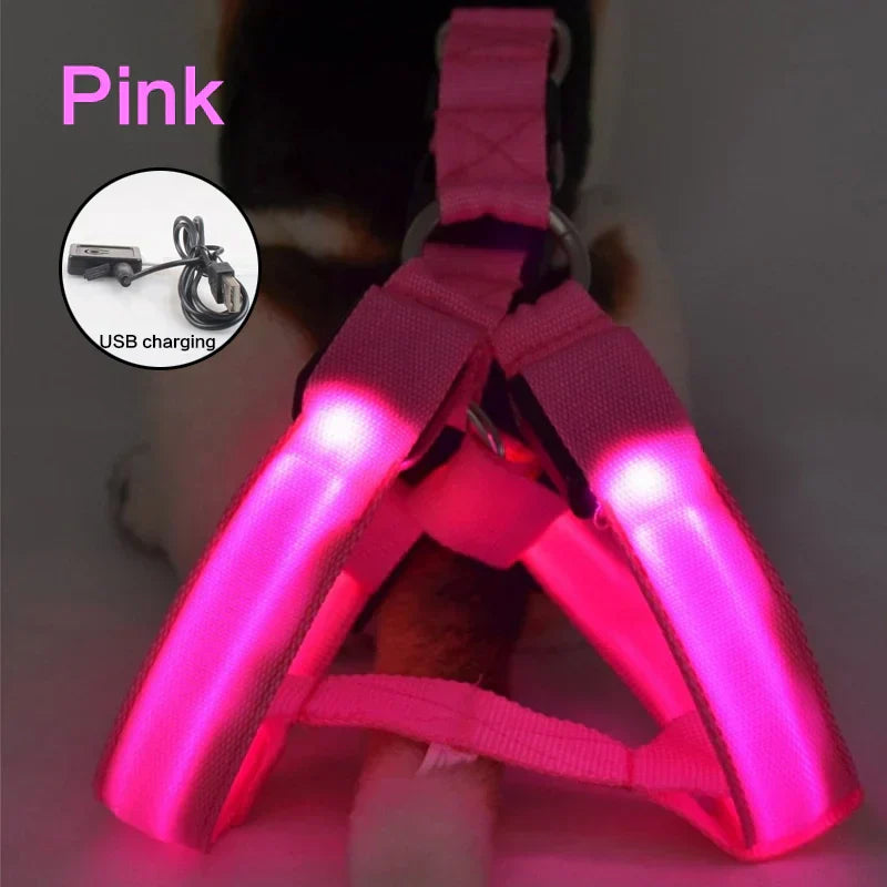LED Neon Safety Harness