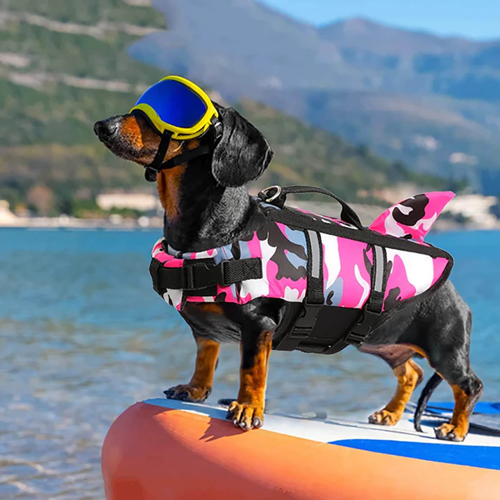 Dog Life Jacket with Shark Fin