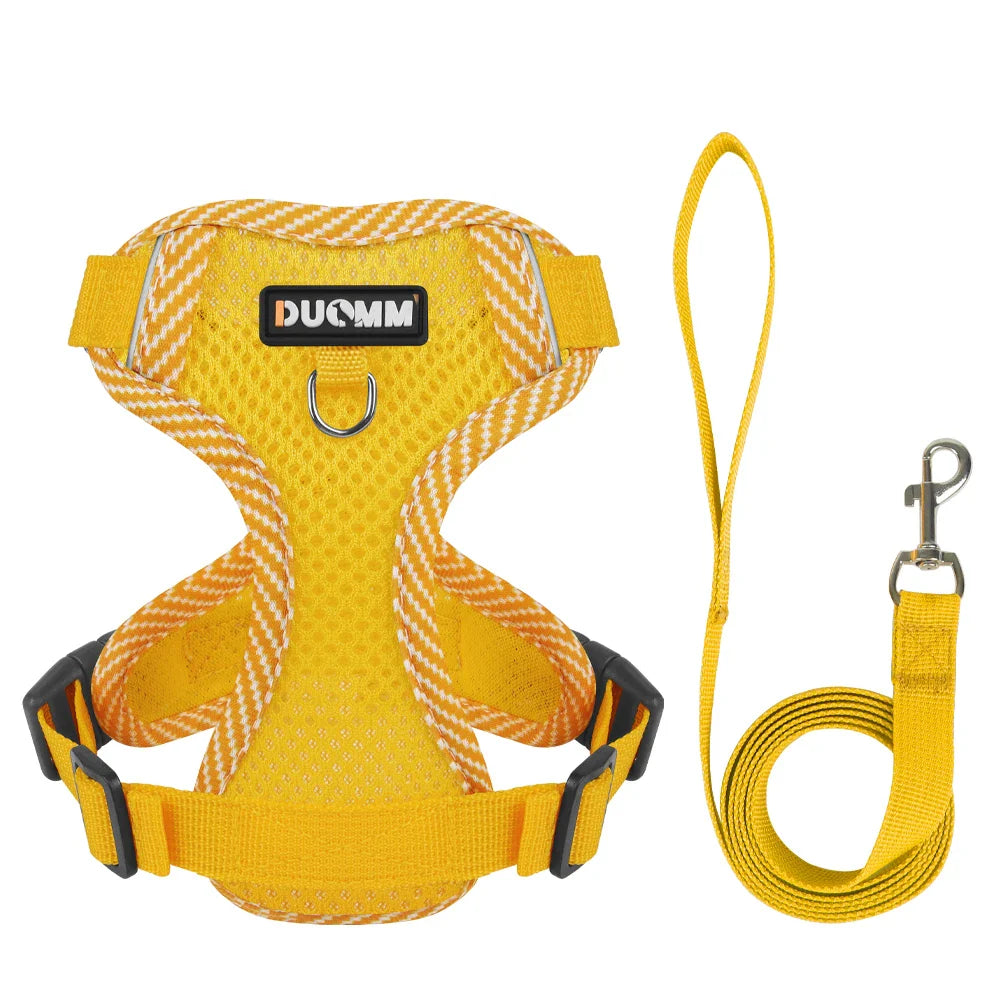 4-Point Adjustment Harness & Leash Set