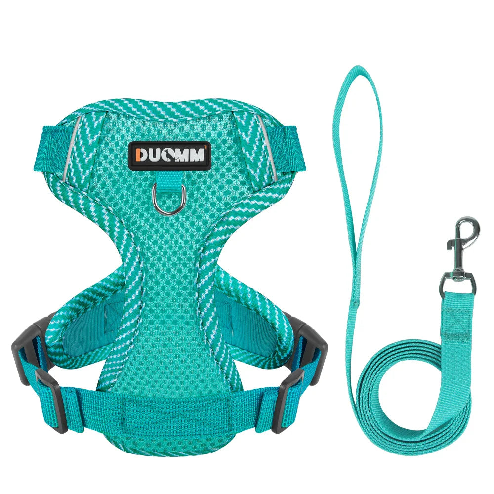 4-Point Adjustment Harness & Leash Set