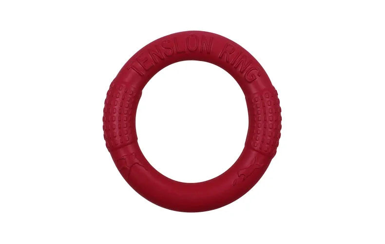 Flying Disk Chewing Toy
