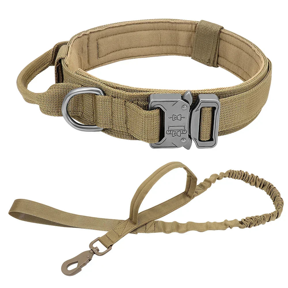 Military Bungee Leash Set