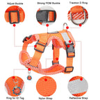 4-Point Adjustment Harness & Leash Set