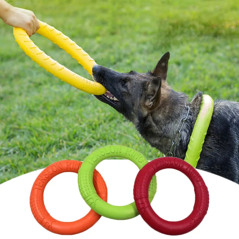 Flying Disk Chewing Toy