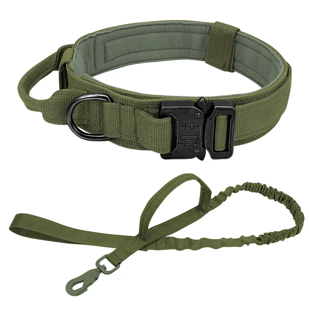 Military Bungee Leash Set