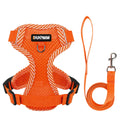 4-Point Adjustment Harness & Leash Set