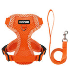 4-Point Adjustment Harness & Leash Set