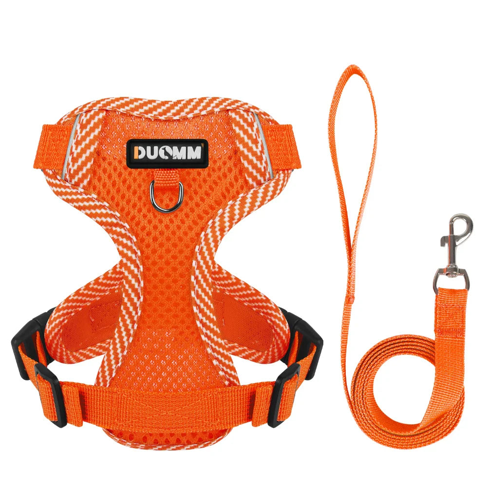 4-Point Adjustment Harness & Leash Set