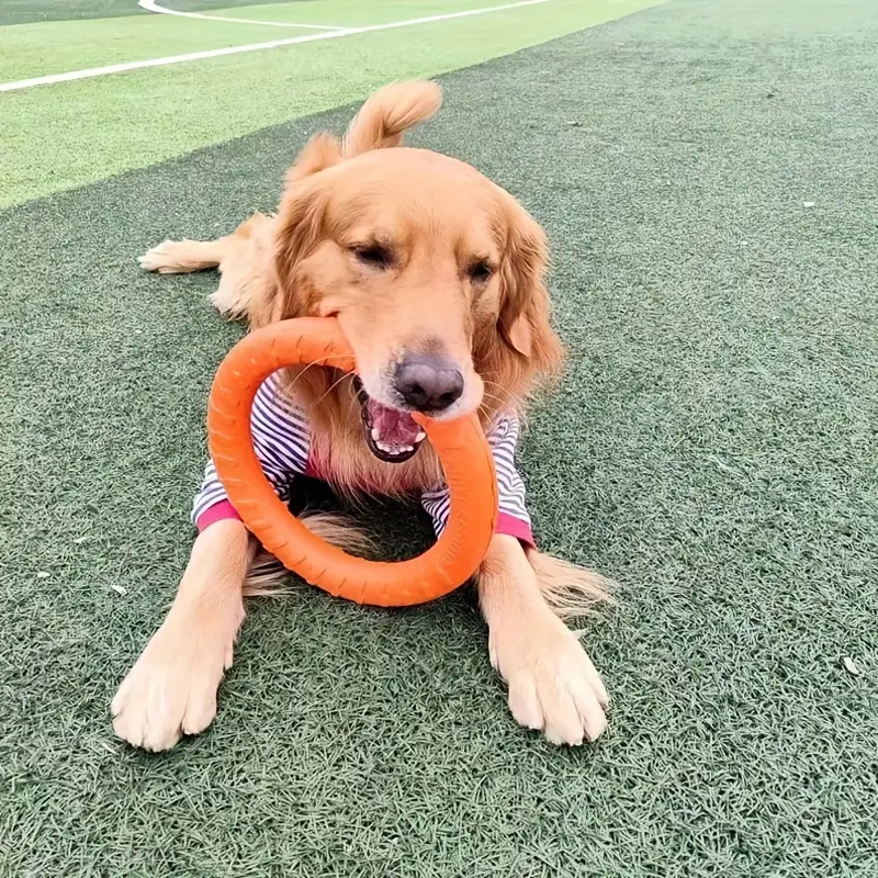 Flying Disk Chewing Toy