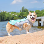 Cooling Reflective Dog Harness